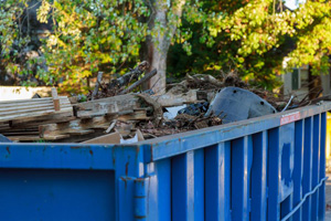 Waste Removal Cleaning Services